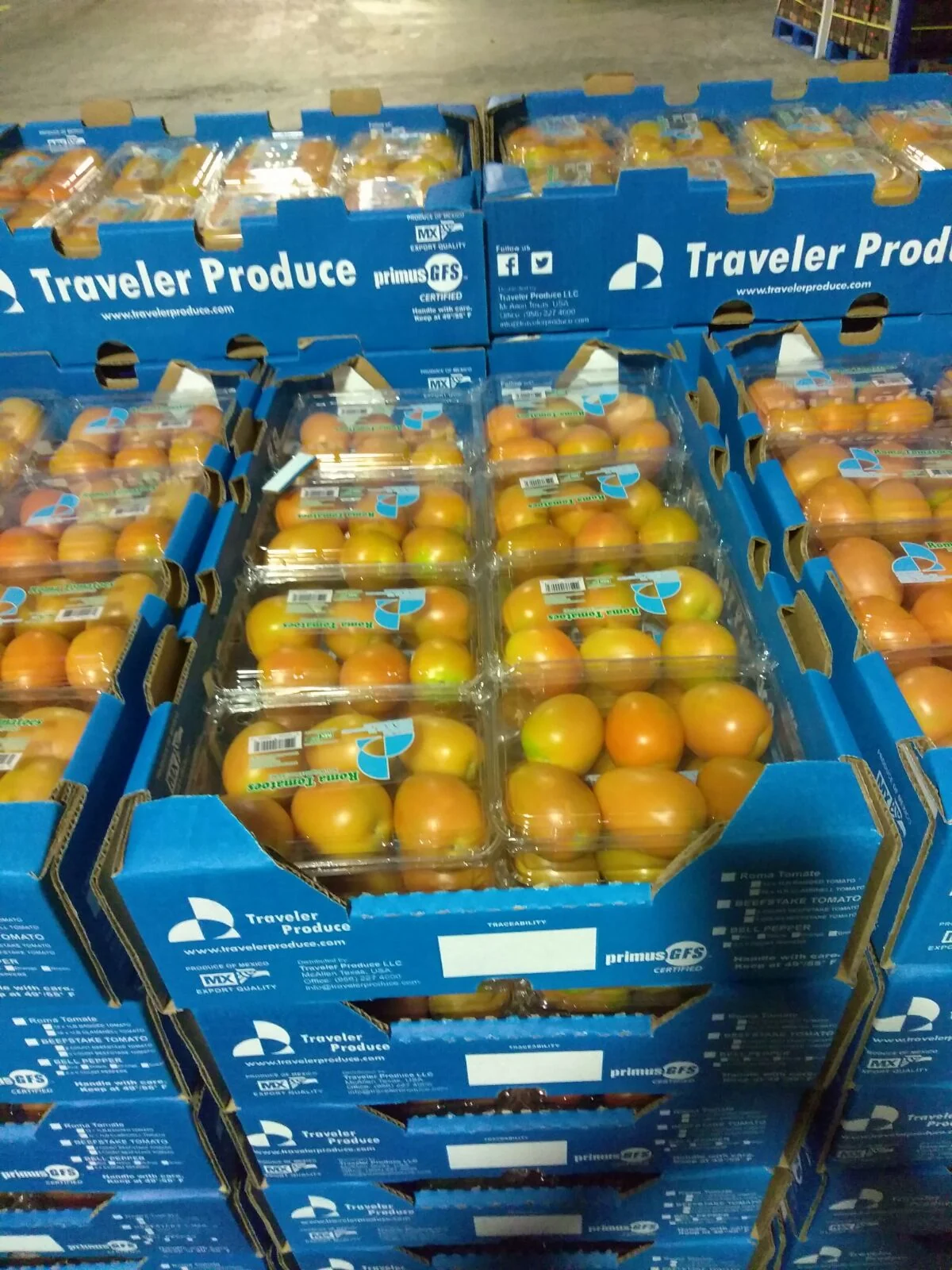 Roma tomatoes packed in branded Traveler Produce cartons and retail containers