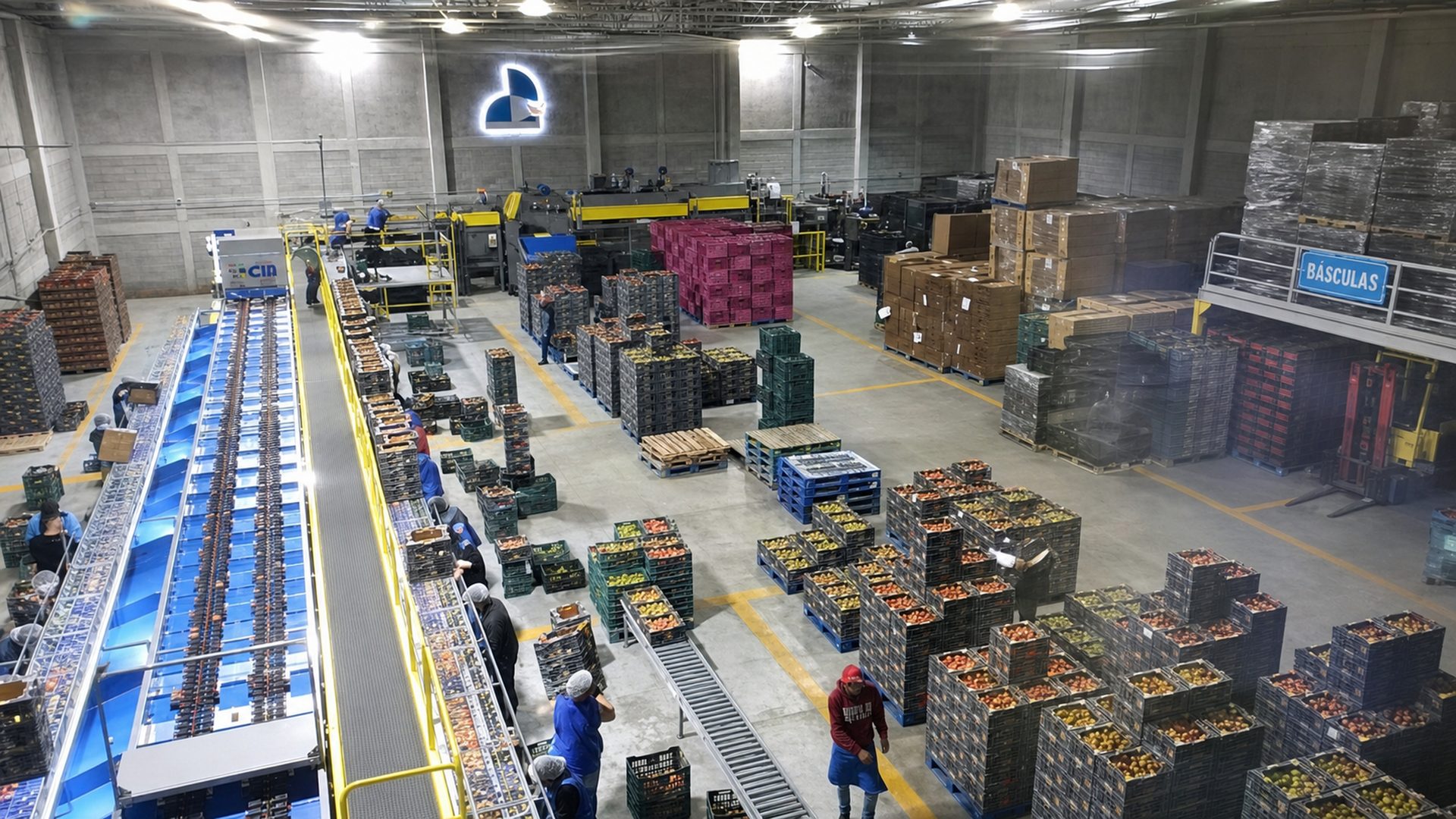Traveler Produce packing operation in Mexico City with sorting lines and produce prepared for shipment